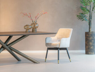 witte eetkamerstoel met leuning