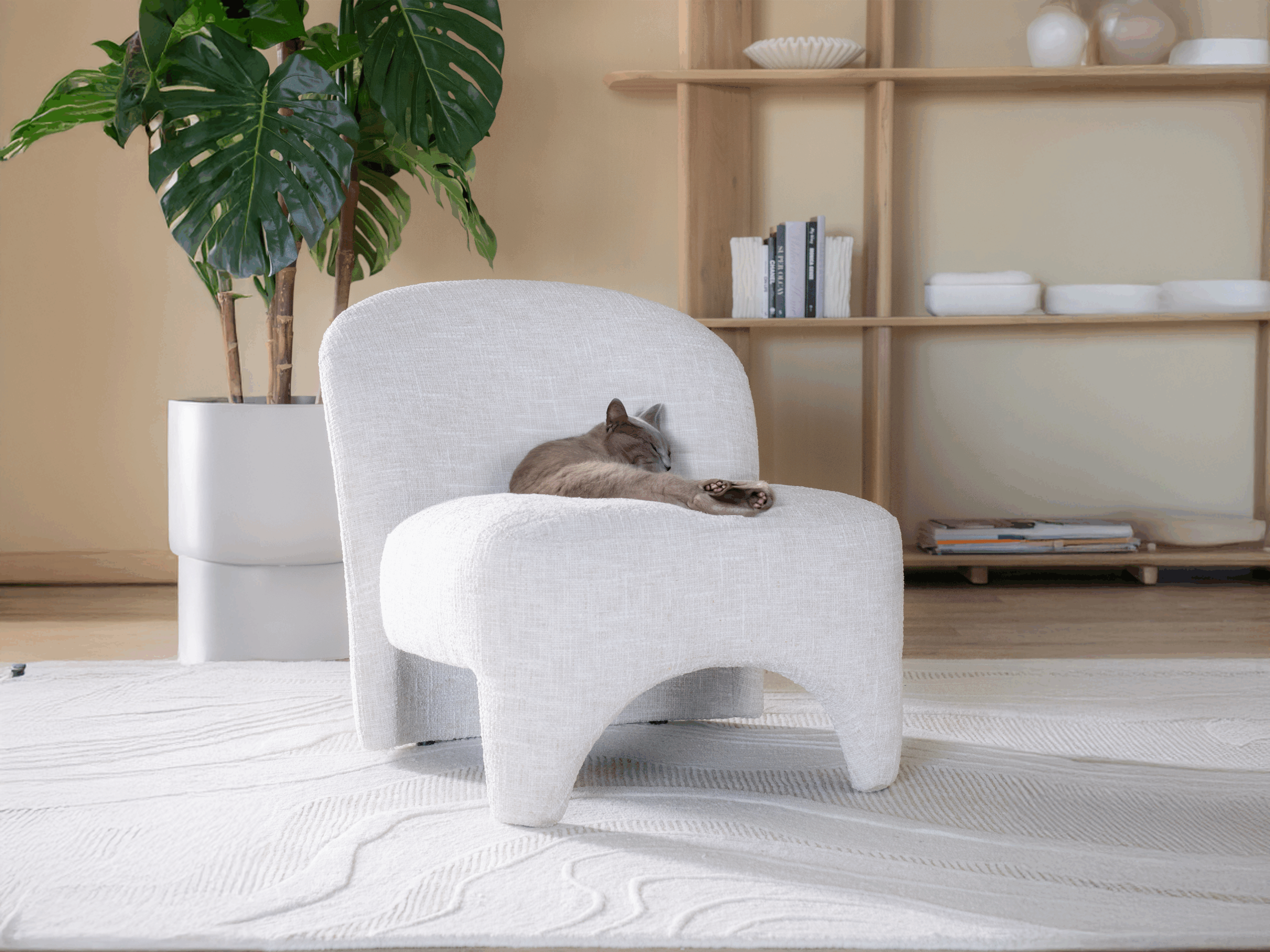 Moderne fauteuil met gewelfde rugleuning en brede zitting