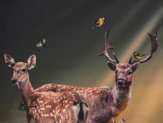 lan-posterjunkie-016-70x118-dbw-mko